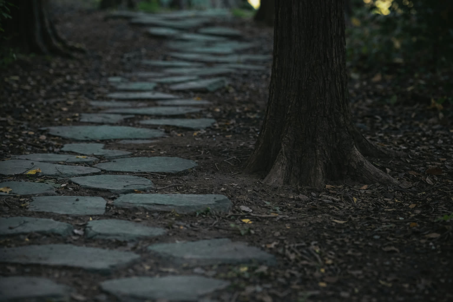 A stone path in the middle of a forest